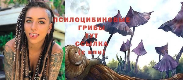 дмт Алзамай