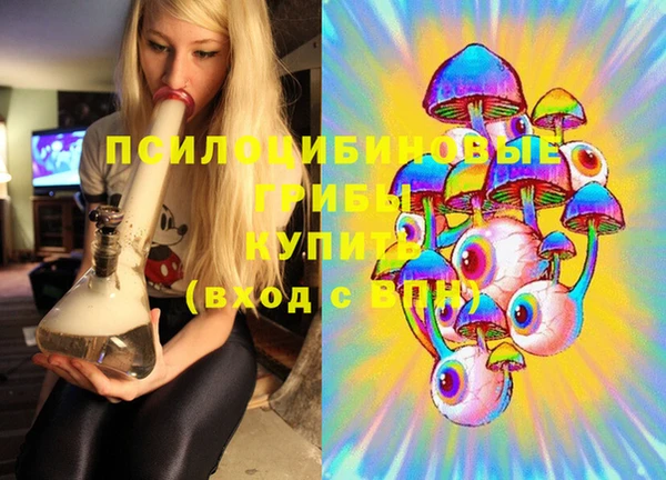 прущие грибы Няндома