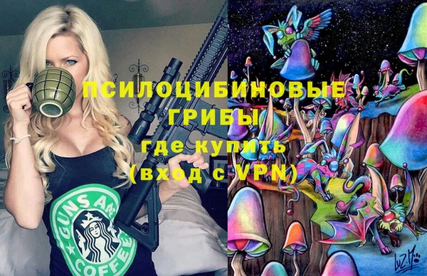 дмт Алзамай