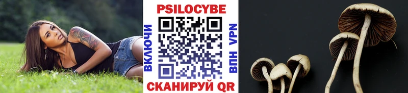 Псилоцибиновые грибы мицелий  блэк спрут сайт  Фёдоровский 